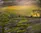 Glass Image Background