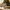 Glass Image Background