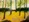 Glass Image Background