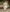Glass Image Background