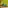 Glass Image Background