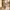 Glass Image Background