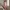 Glass Image Background