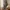Glass Image Background
