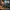 Glass Image Background