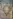 Glass Image Background