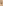 Glass Image Background