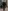 Glass Image Background