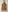 Glass Image Background