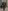 Glass Image Background