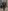Glass Image Background