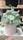 Glass Image Background