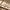 Glass Image Background