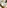 Glass Image Background