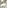 Glass Image Background