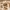 Glass Image Background
