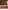 Glass Image Background