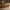 Glass Image Background
