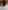 Glass Image Background