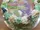 Glass Image Background