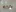 Glass Image Background