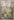 Glass Image Background