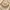 Glass Image Background
