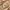 Glass Image Background