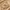 Glass Image Background