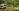 Glass Image Background