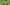 Glass Image Background