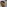 Glass Image Background