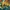 Glass Image Background