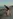 Glass Image Background
