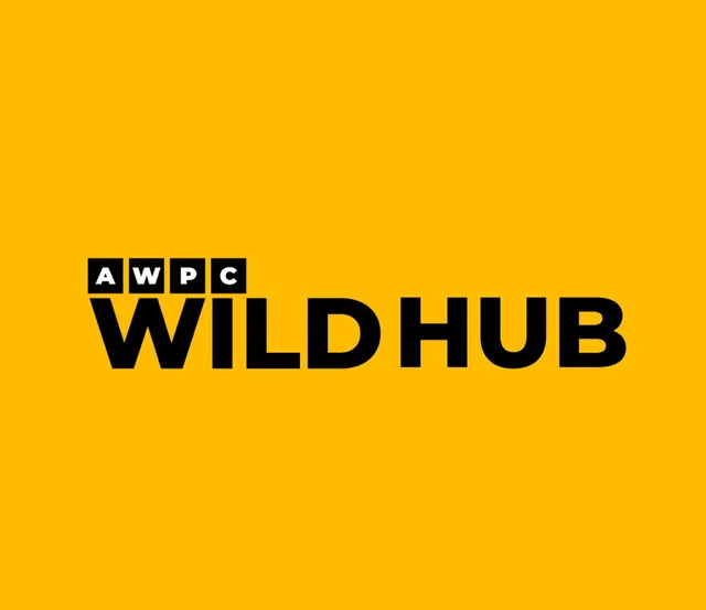 WILDHUB PREMIUM 💎 profile