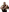 Glass Image Background