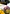Glass Image Background