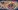 Glass Image Background