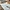 Glass Image Background