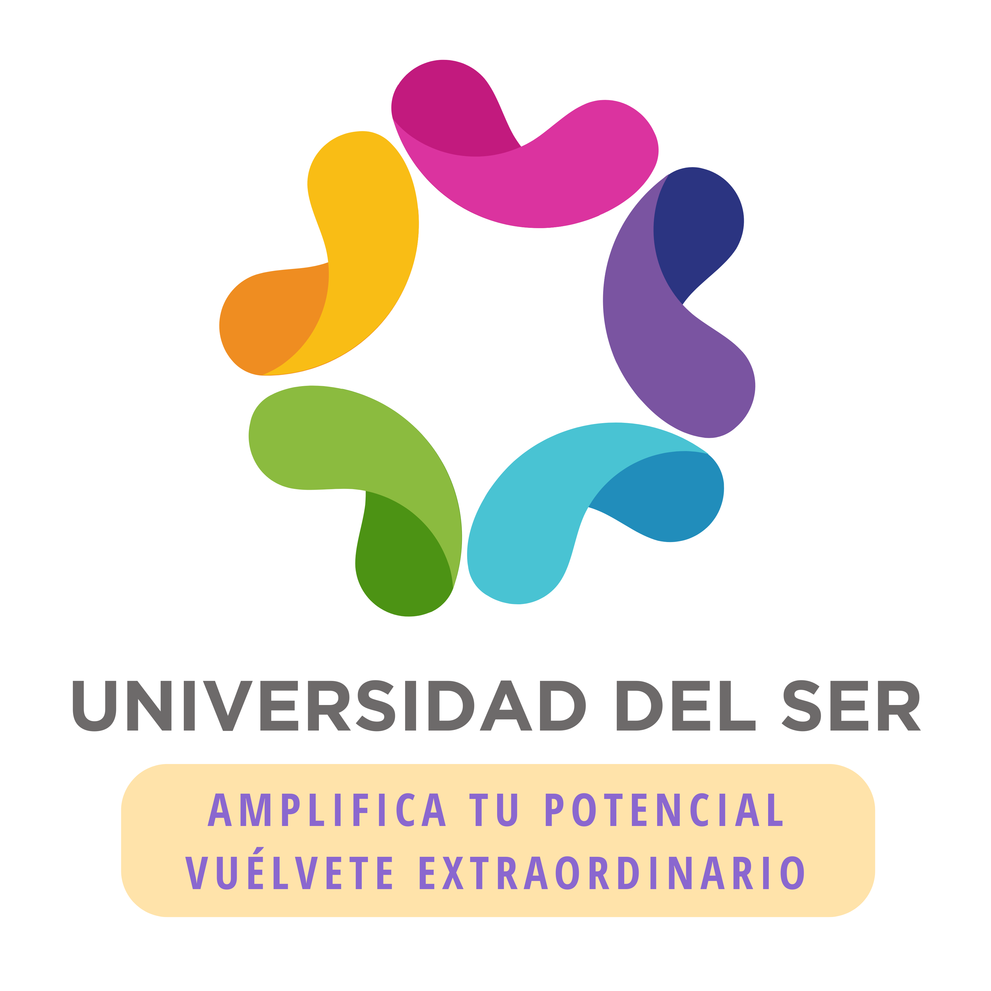 UNIVERSIDAD DEL SER profile
