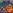 Glass Image Background