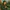 Glass Image Background
