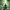 Glass Image Background