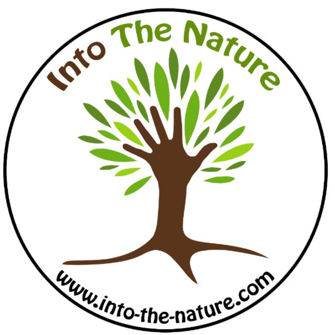 Into The Nature - Network & Learn profile