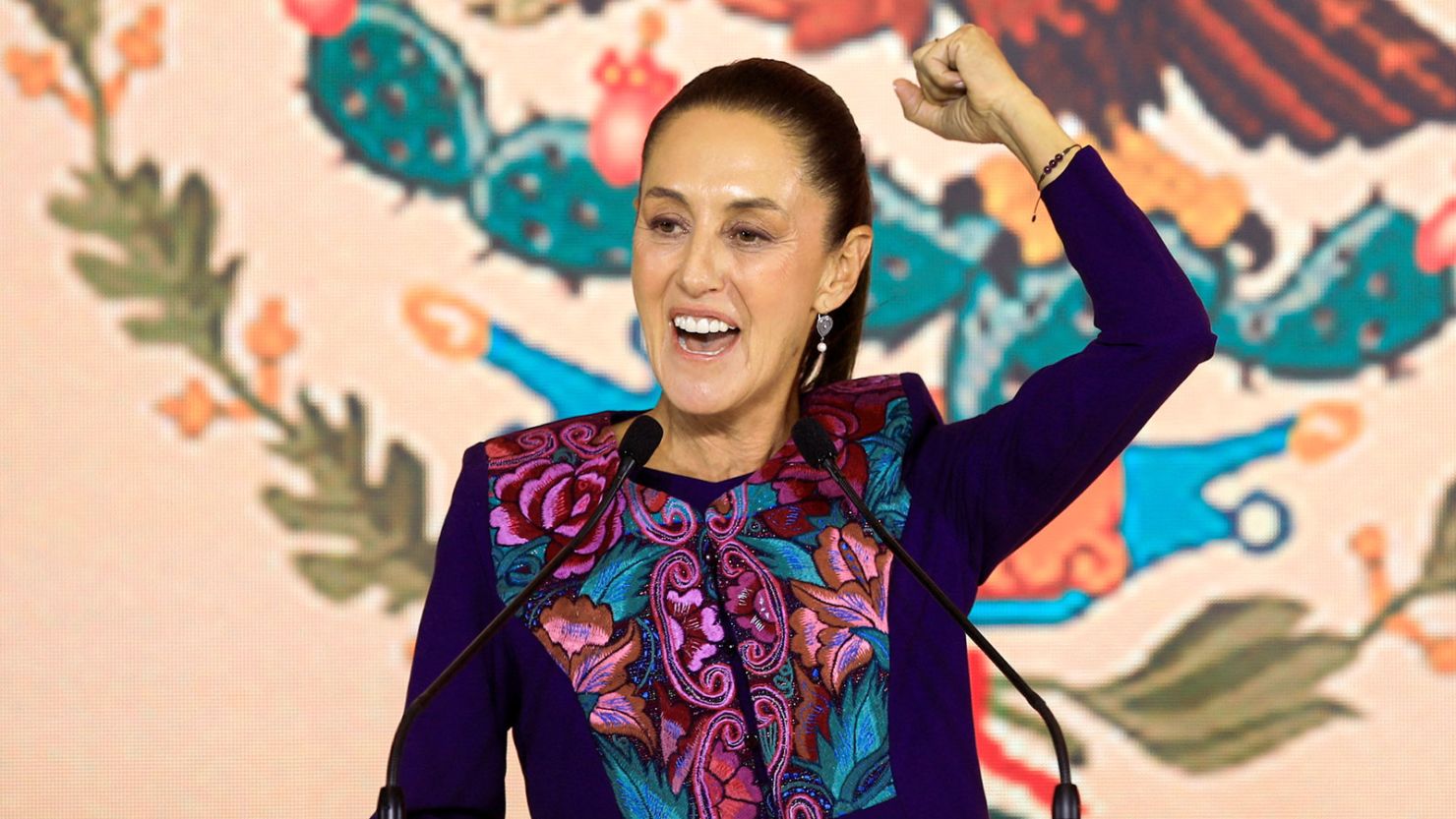 Claudia Sheinbaum 2.jpg
