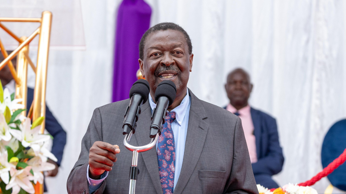 Musalia Mudavadi 2.jpeg