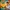 Glass Image Background