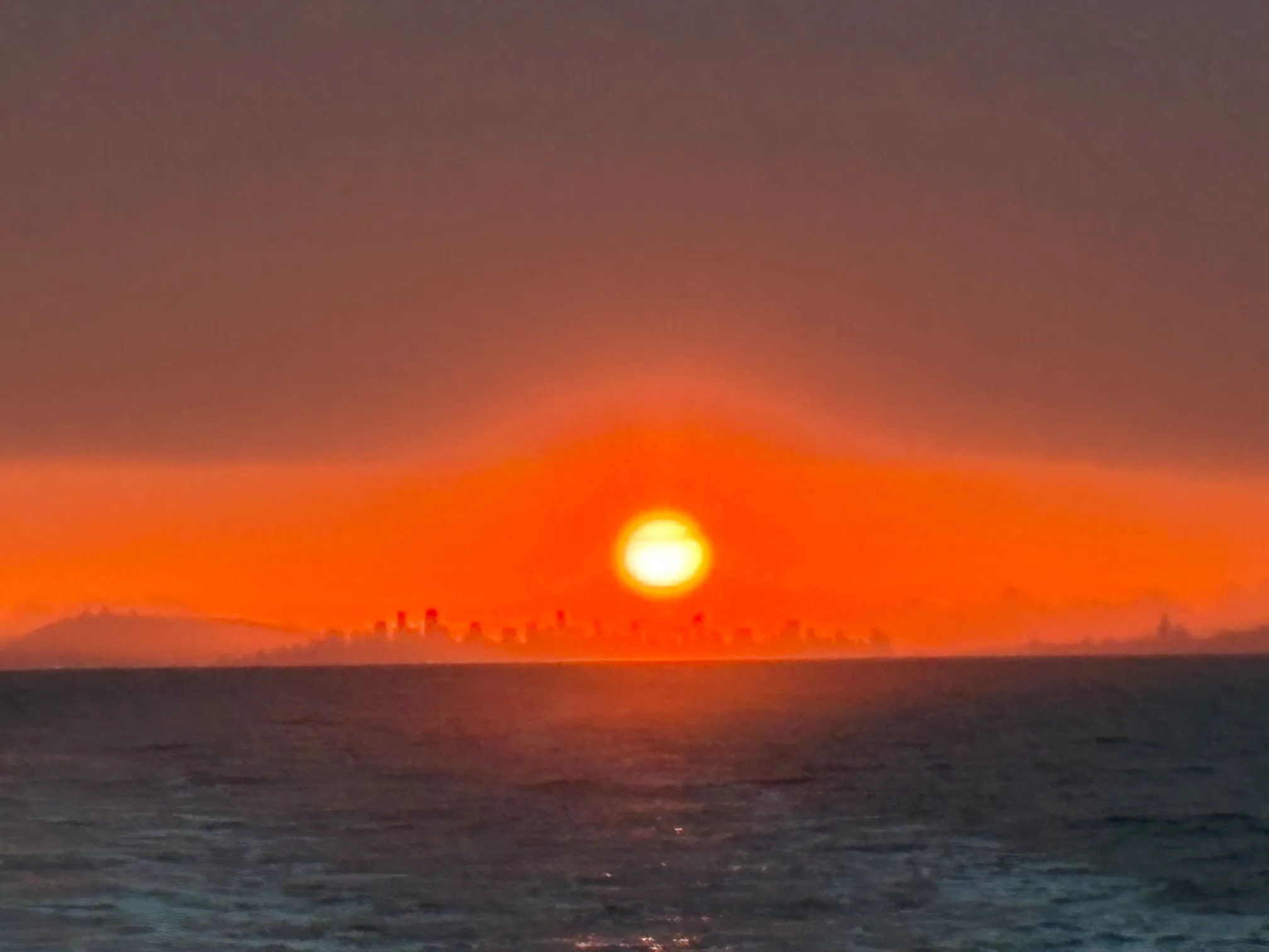 rualesalvin16 profile