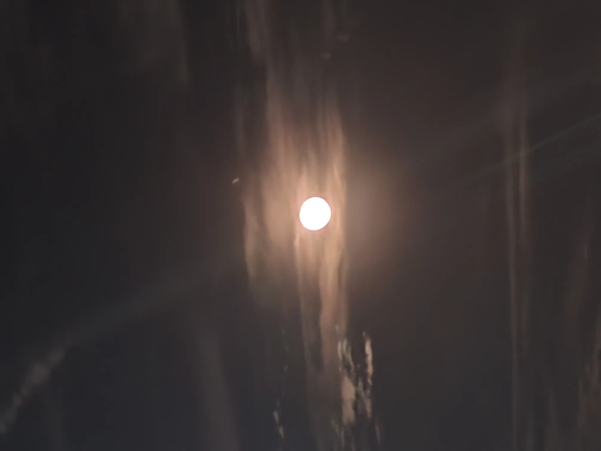 Occult and Oddities profile