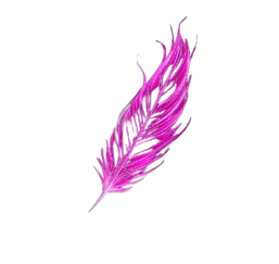 Feathered Ink profile